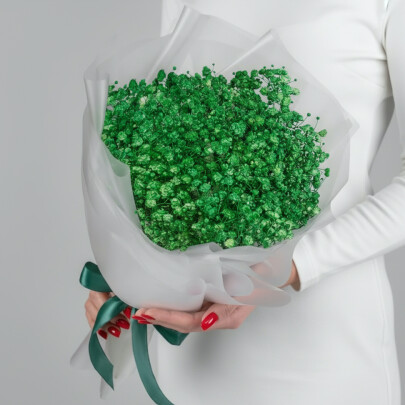 5 Зеленых Гипсофил фото