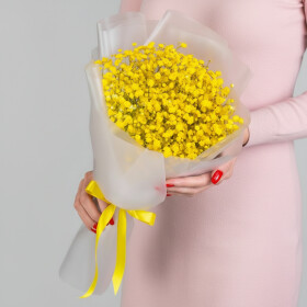 5 Желтых Гипсофил фото