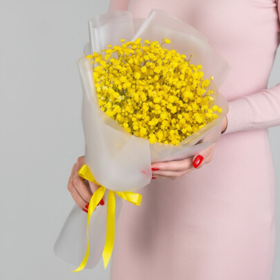 5 Желтых Гипсофил фото