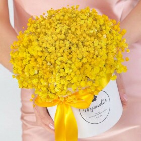 5 Желтых Гипсофил в коробке фото