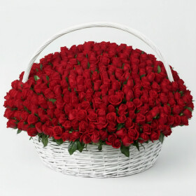 501 Красная Роза в корзине фото