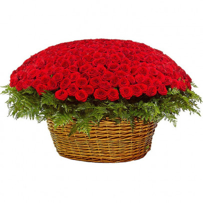 501 Красная Роза (50 см.) в корзине фото