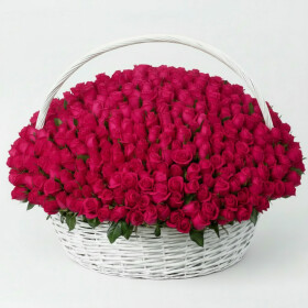 501 Малиновая Роза (40 см.) в корзине фото