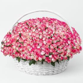 501 Роза Джумилия в корзине фото