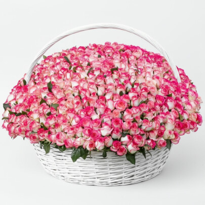 501 Роза Джумилия в корзине фото