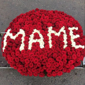 501 Красная Роза (50 см.) маме в корзине фото