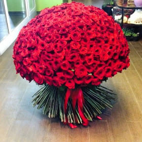 501 Красная Роза (80 см.) фото