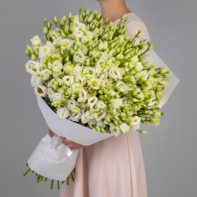 51 Белая Эустома фото