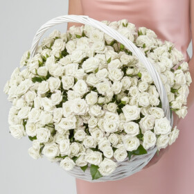 51 Кустовая Белая Роза в корзине фото