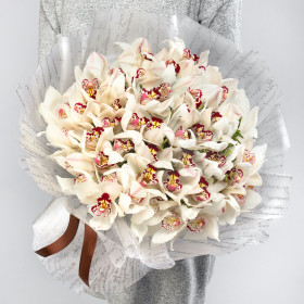 51 Белая Орхидея фото