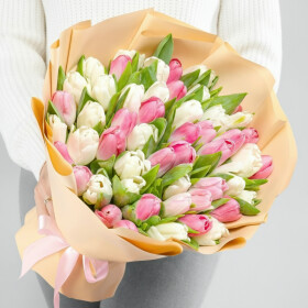 51 Белый и Розовый Тюльпан фото