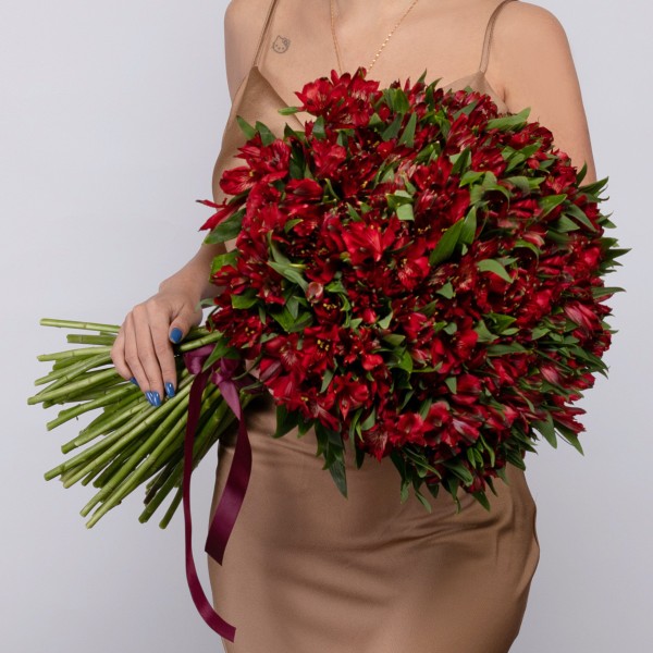 

51 Красная Альстромерия