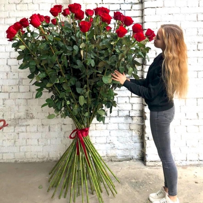 51 Красная Роза (180-200 см.) фото