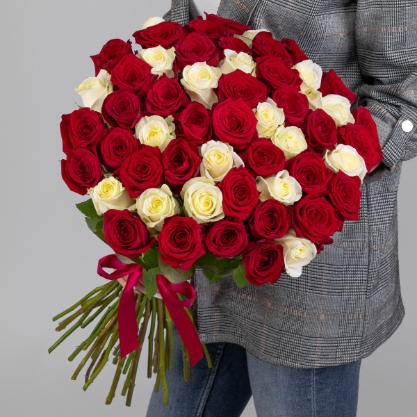 51 Красно-Белая Роза (60 см.)