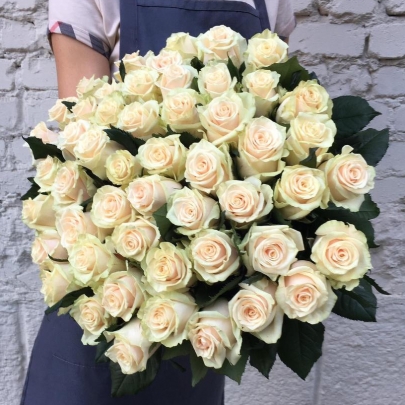 51 Кремовая Роза (60 см.) фото
