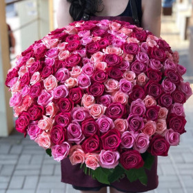 101 Малиновая и Розовая Роза (60 см.) фото