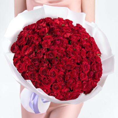 51 Роза Черри Хеопс (40 см.) фото