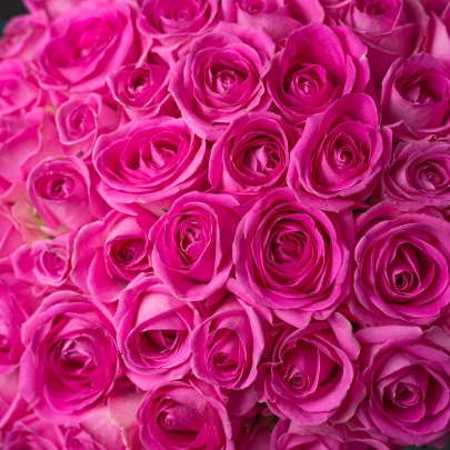 51 Ярко-Розовая Роза (40 см.) фото изображение 5