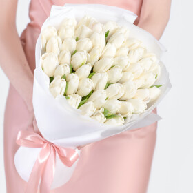 51 Тюльпан белый фото