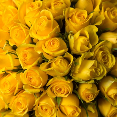 51 Желтая Роза (40 см.) фото изображение 4