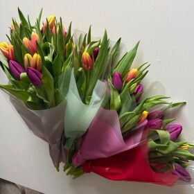 5 Разноцветных Тюльпанов в конусе (Корпоративный от 50 штук)