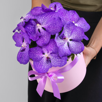 7 Орхидей Ванда в коробке фото