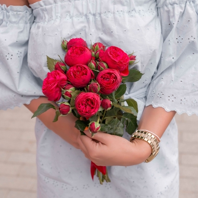7 Кустовых Пионовидных Красных Роз (50 см.) фото изображение 2