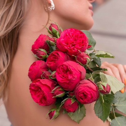 7 Кустовых Пионовидных Красных Роз (50 см.) фото изображение 3