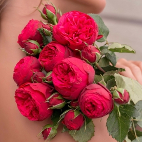 7 Кустовых Пионовидных Красных Роз (50 см.) фото