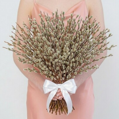 Букет "7 Пучков Вербы" фото