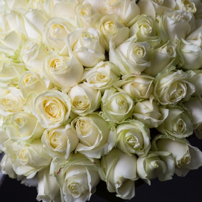 75 Белых Роз (50 см.) фото изображение 5