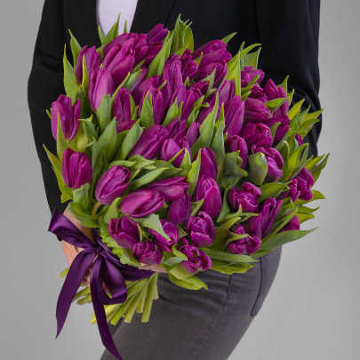 75 Фиолетовых Тюльпанов фото