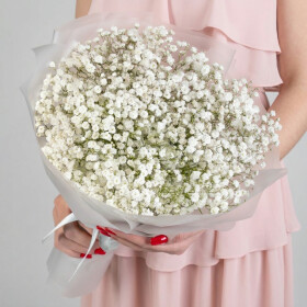 9 Белых Гипсофил фото