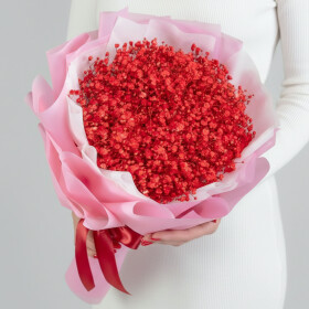 9 Красных Гипсофил фото