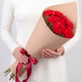 9 Красных Гвоздик в пленке фото