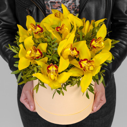 9 Желтых Орхидей в коробке фото