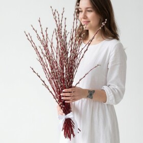 9 Пучков Вербы фото