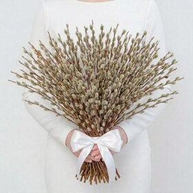 9 Пучков Вербы (89 веток) фото