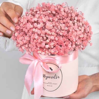 9 Розовых Гипсофил в коробке фото