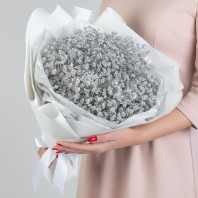 9 Серебряных Гипсофил фото