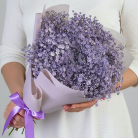 9 Сиреневых Гипсофил фото