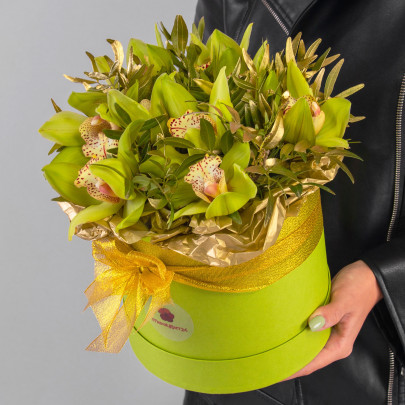 9 Зеленых Орхидей в коробке фото