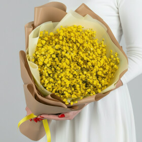 9 Желтых Гипсофил фото