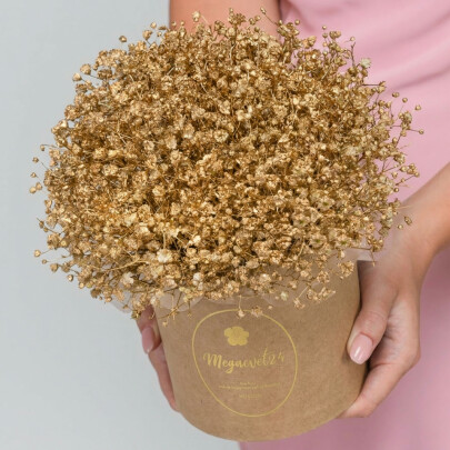 9 Золотых Гипсофил в коробке фото