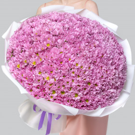 95 Розовых Кустовых Хризантем Ромашка фото