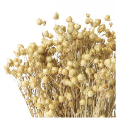 Лён натуральный сухоцвет (1 пучок) фото