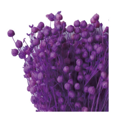 Лён сиреневый сухоцвет (1 пучок) фото