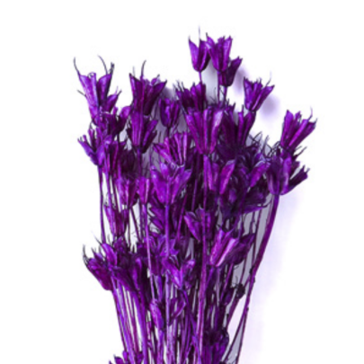 Нигелла Deep Purple сухоцвет оптом (1 пучок)