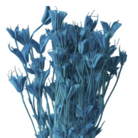 Нигелла Ocean Blue сухоцвет оптом (1 пучок)