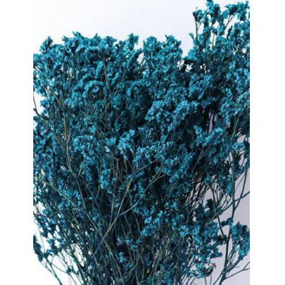 Лимониум крупноцветковый Klein сухоцвет оптом (1 пучок) фото